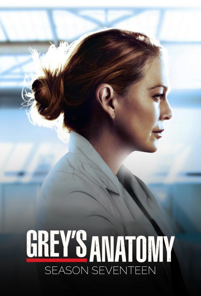 Grey's Anatomy - Season 17 [134870] (A1774148610) [[Shows 2.0]] --Plex--